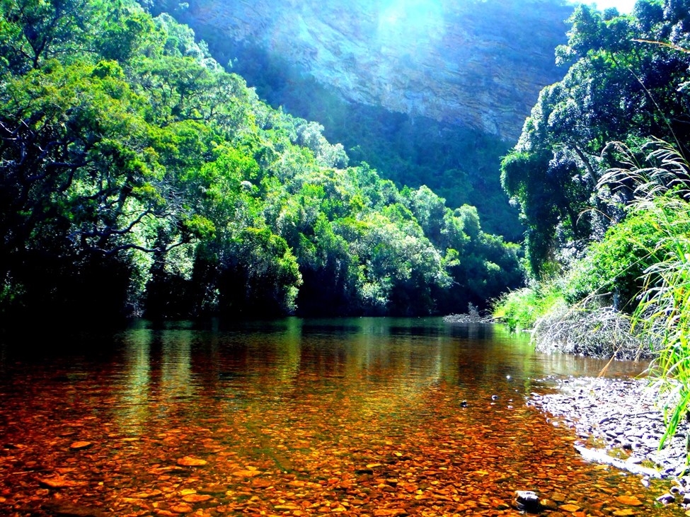 Diatoms of the Groot River, and other ingredients that made a ...